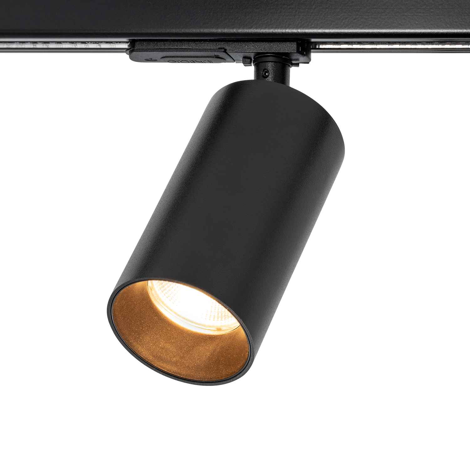 Web-bilde_Tania-Mini-1-circuit-black-light